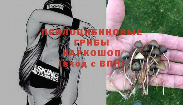 кокаин перу Белокуриха